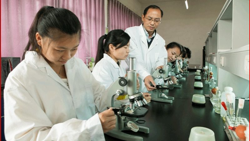在挑选小众品牌进行代理加盟时，以下指标值得关注：