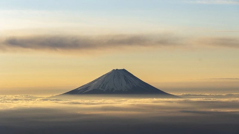 医药中间体生产工艺流程全解析