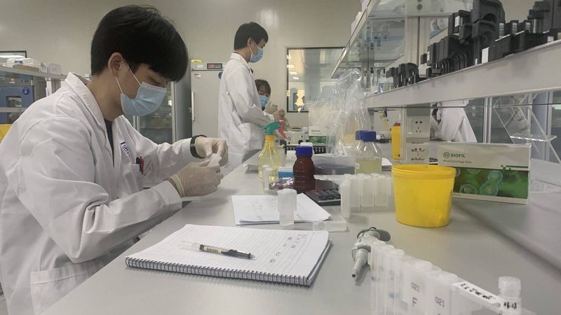 原料药注册申报，揭秘其背后的关键环节
