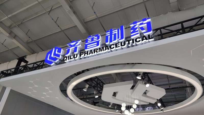 原料药GMP生产厂家：品质与合规的守护者