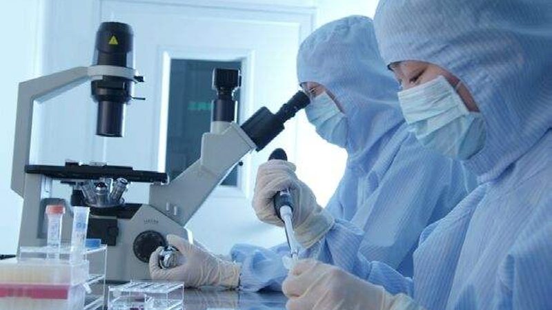 原料药注册申报流程图：揭秘制药行业关键步骤
