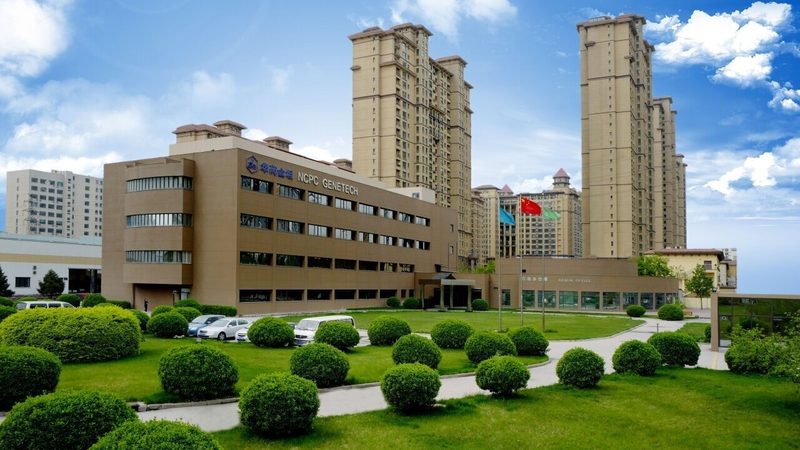 中药饮片保质期：如何正确理解与储存